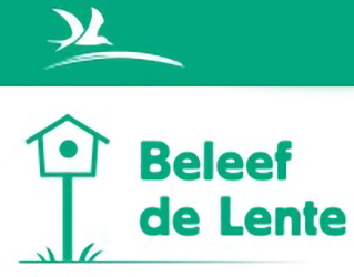 Beleef de lente Torenvalk